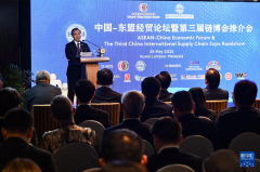 中国—东盟经贸论坛暨第三届链博会推介会正在